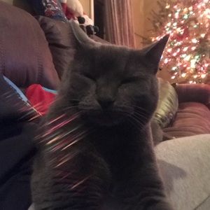 Meet your Posher, Lindsey